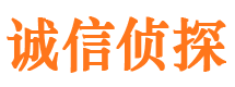 东丰找人公司